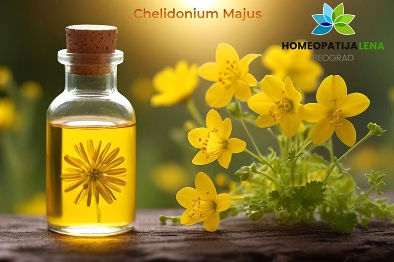 Homeopatski lek Chelidonium Majus