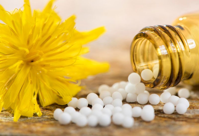 Homeopatske kuglice pored žute biljke, prirodno rešenje homeopatskih lekova za mršavljenje